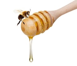 honey-to-a-bee_350x300.jpg